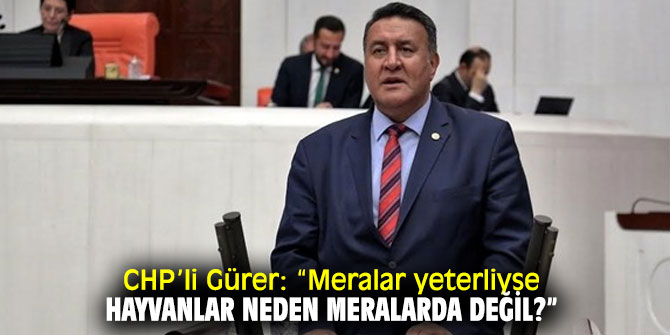 CHP Niğde Milletvekili Ömer Fethi Gürer, mera ıslahını sordu