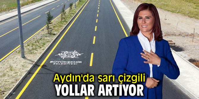 Aydın'da sarı çizgili yollar artıyor
