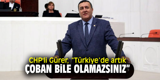 CHP'li Gürer, Bakan Pakdemirli'ye çoban sertifikasını sordu