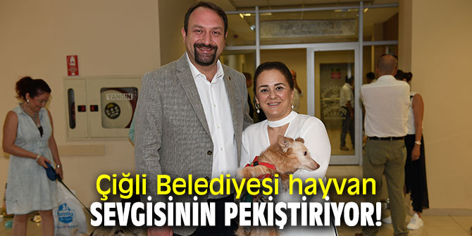 Çiğli Belediyesi hayvan sevgisinin pekiştiriyor!