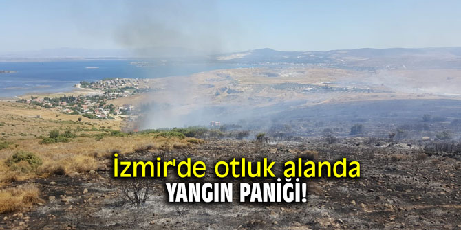 İzmir'de otluk alanda yangın paniği!