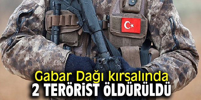 Gabar Dağı kırsalında 2 terörist öldürüldü