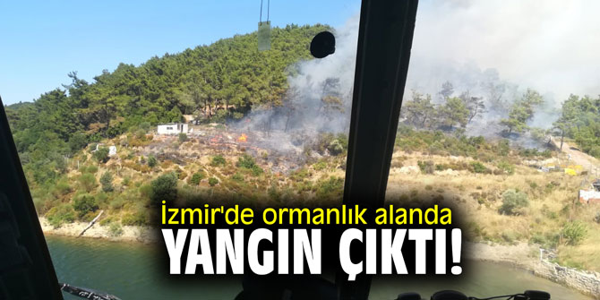 İzmir'de ormanlık alanda yine yangın çıktı!