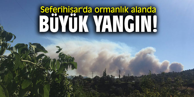 Seferihisar'da ormanlık alanda büyük yangın!