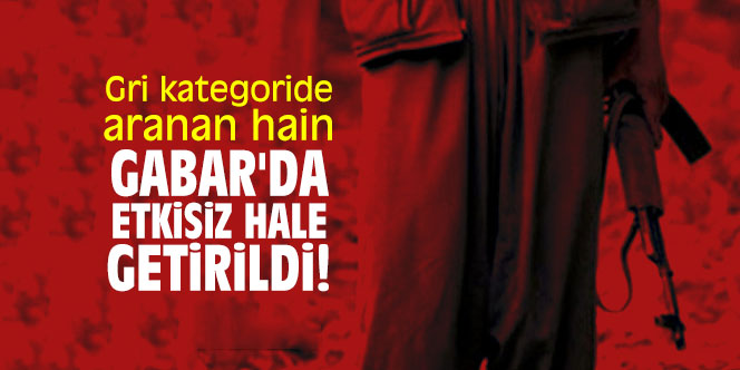 Gri kategoride aranan hain Gabar'da etkisiz hale getirildi!