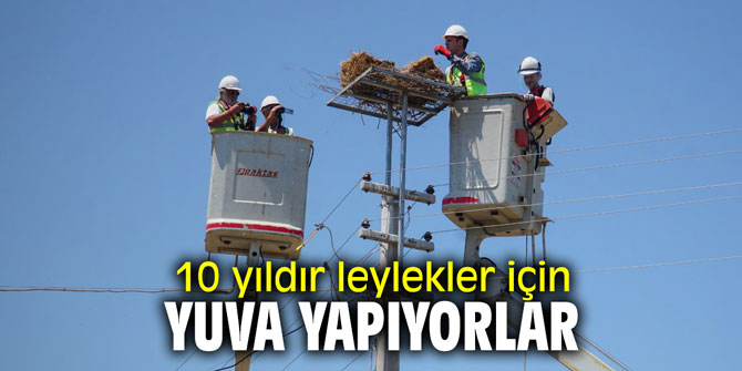 10 yıldır leylekler için yuva yapıyorlar