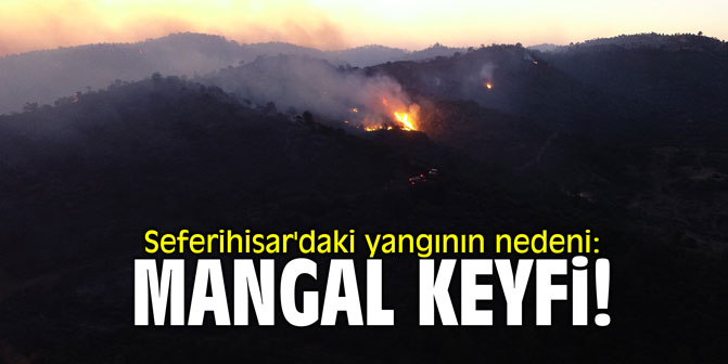 Seferihisar'daki yangının nedeni: Mangal keyfi!