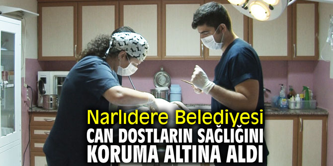 Narlıdere Belediyesi can dostların sağlığını koruma altına aldı