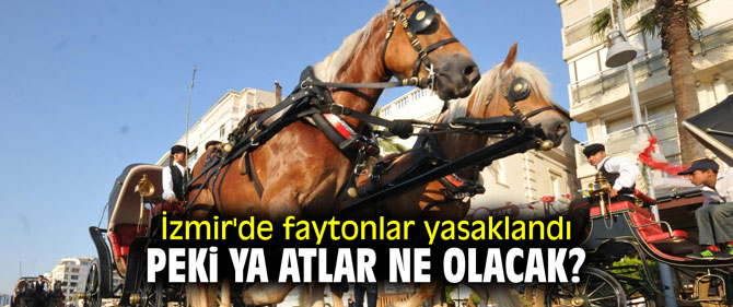 İzmir'de faytonlar yasaklandı; peki ya atlar ne olacak?