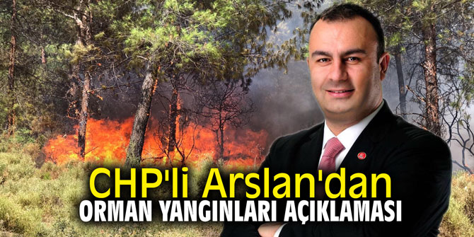 CHP'li Arslan'dan orman yangınları açıklaması