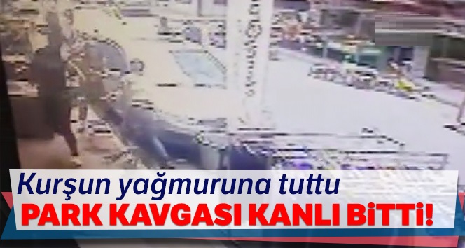 Park kavgası kanlı bitti