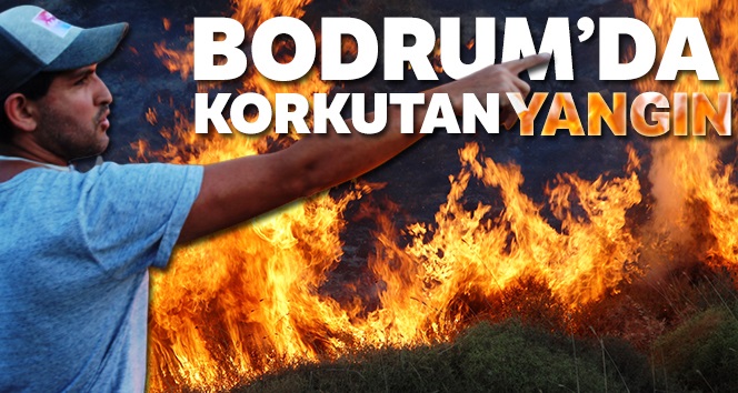 SON DAKİKA ...Alevler tatil sitelerine yaklaştı