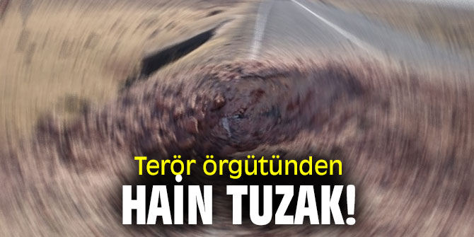 Terör örgütünden hain tuzak! 