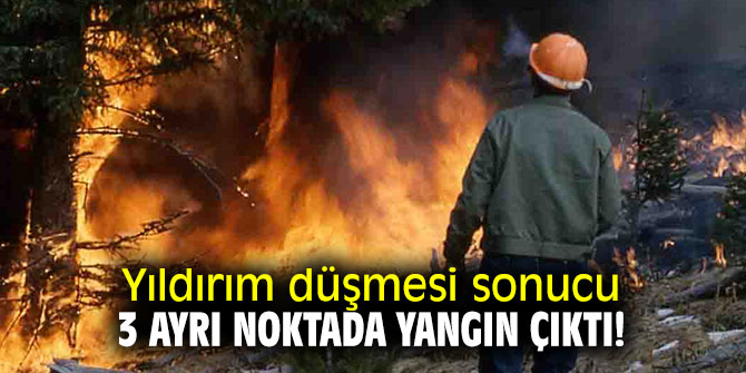 Yıldırım düşmesi sonucu 3 ayrı noktada yangın çıktı!