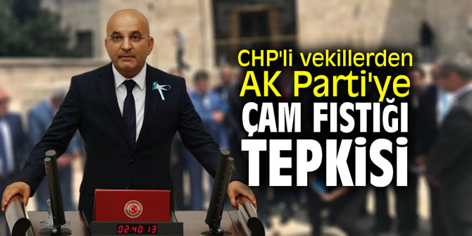 CHP'li vekillerden AK Parti'ye çam fıstığı tepkisi