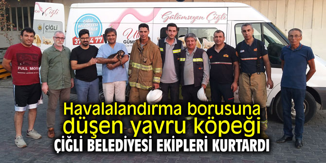 Havalalandırma borusuna düşen yavru köpeği Çiğli Belediyesi ekipleri kurtardı