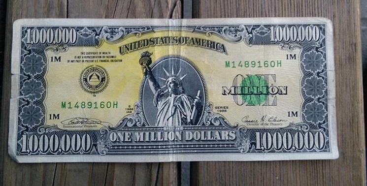 Cebinde 1 milyon dolarlık banknot ele geçirildi.