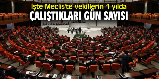 İşte Meclis'te vekillerin 1 yılda çalıştıkları gün sayısı