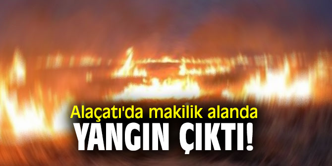 Alaçatı'da makilik alanda yangın çıktı!