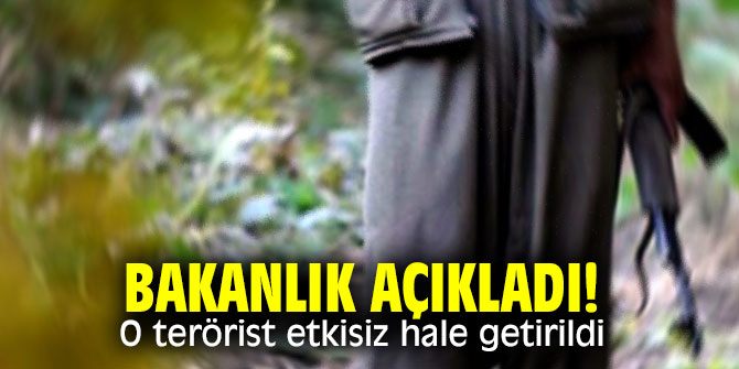 Bakanlık açıkladı! O terörist etkisiz hale getirildi
