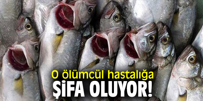 O ölümcül hastalığa şifa oluyor!