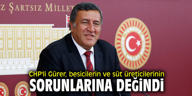 CHP'li Gürer, besicilerin ve süt üreticilerinin sorunlarına değindi