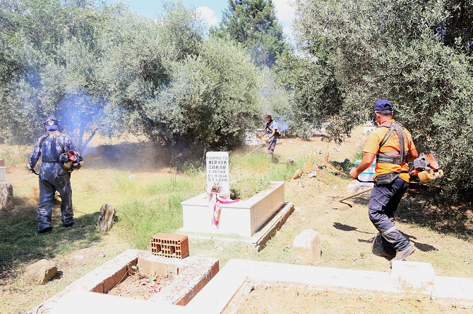 EFELERDE MEZARLIKLARDA BAYRAM MESAİSİ