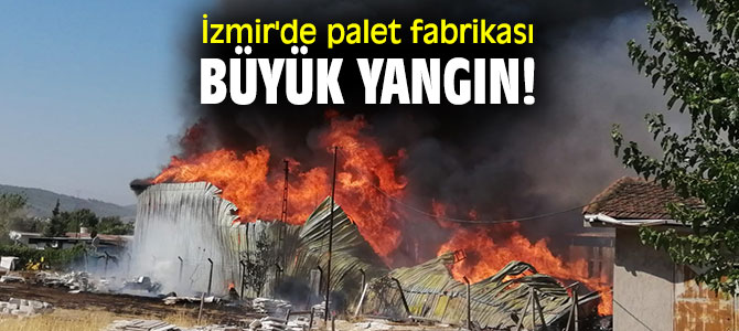 İzmir'de palet fabrikası büyük yangın!