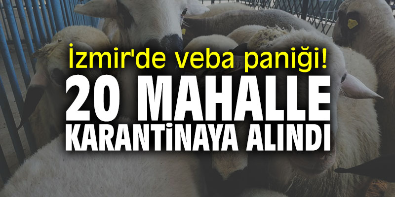 İzmir'de veba paniği! 20 mahalle karantinaya alındı