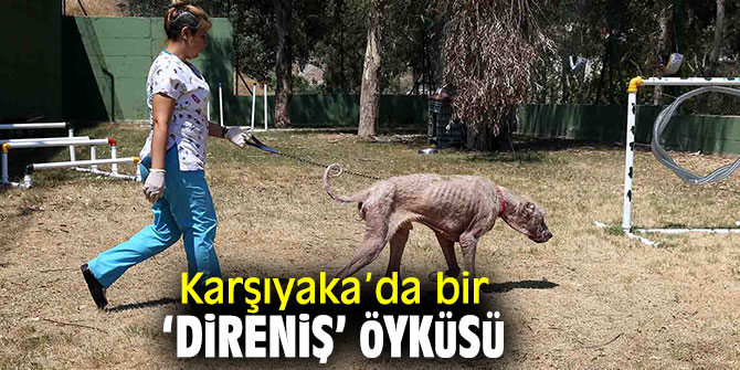 Umut veren bir ‘Direniş’ öyküsü!