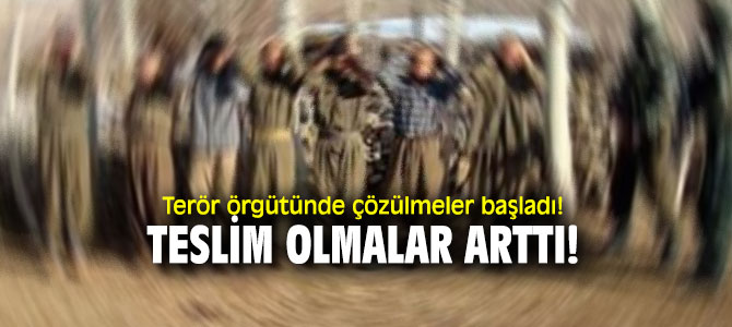 Terör örgütünde çözülmeler başladı! Teslim olmalar arttı!