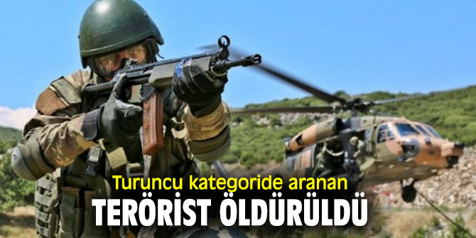 Bakanlık açıkladı! Turuncu kategoride aranan terörist öldürüldü