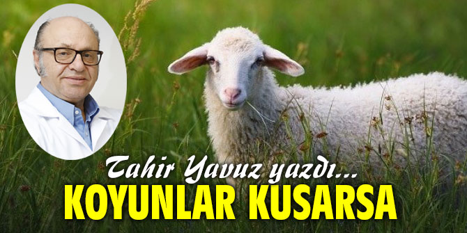KOYUNLAR KUSARSA