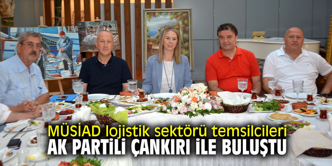 MÜSİAD lojistik sektörü temsilcileri AK Partili Çankırı İle buluştu