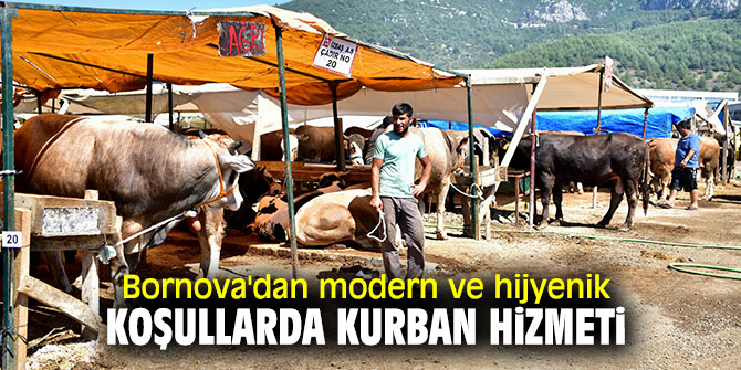 Bornova'dan kurban hizmeti  