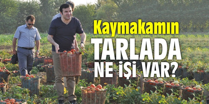 Kaymakamı tarlada gören mevsimlik işçiler şaşkınlıklarını gizleyemedi