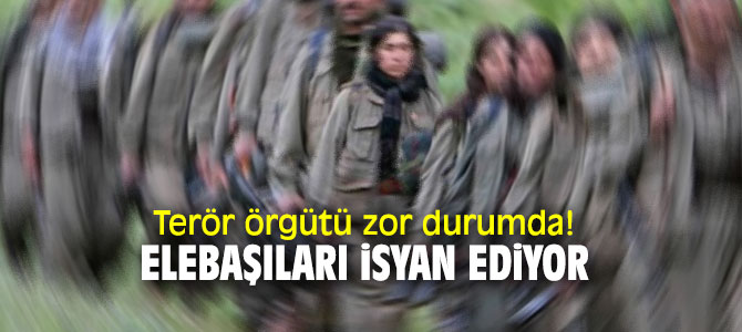 Terör örgütü zor durumda! Elebaşıları...