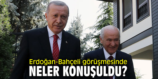Erdoğan-Bahçeli görüşmesinde neler konuşuldu?