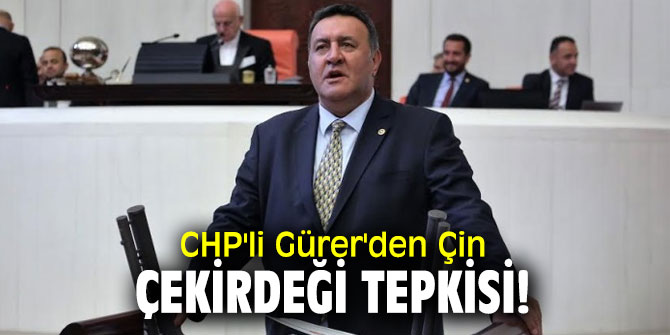 CHP'li Gürer'den Çin çekirdeği tepkisi!