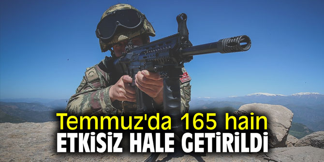 Temmuz'da 165 hain etkisiz hale getirildi