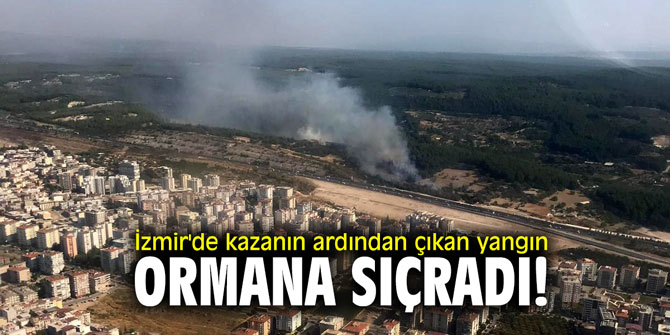 İzmir'de kazanın ardından çıkan yangın ormana sıçradı!