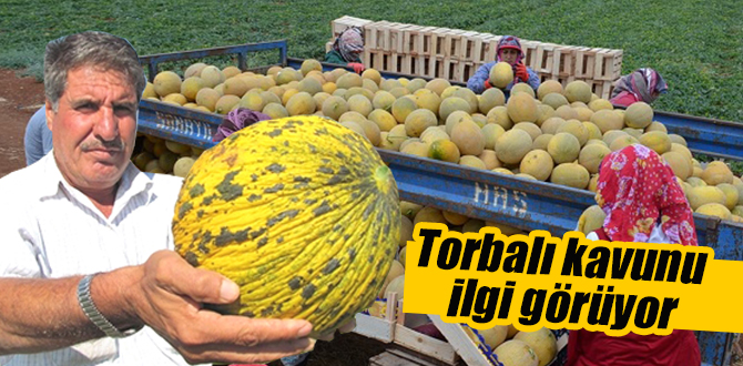 Torbalı’nın en tatlı meyvesi