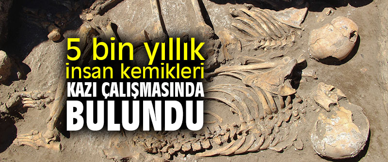 5 bin yıllık insan kemikleri kazı çalışmasında bulundu