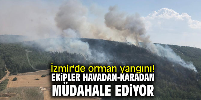 İzmir'de orman yangını! Ekipler havadan-karadan müdahale ediyor