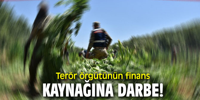 Terör örgütünün finans kaynağına darbe!
