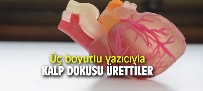 Bilim insanları üç boyutlu yazıcıyla kalp dokusu ürettiler