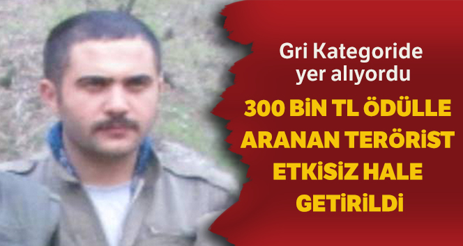 SON DAKİKA ...Aranan terörist etkisiz hale getirildi