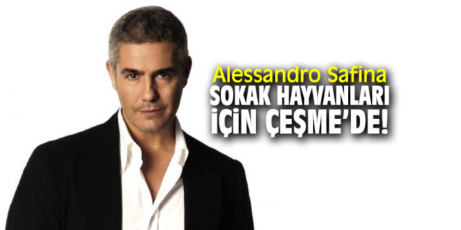Çeşme’de sokak hayvanları için konser!