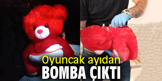 Oyuncak ayıdan bomba çıktı; 8 kişi gözaltına alındı!