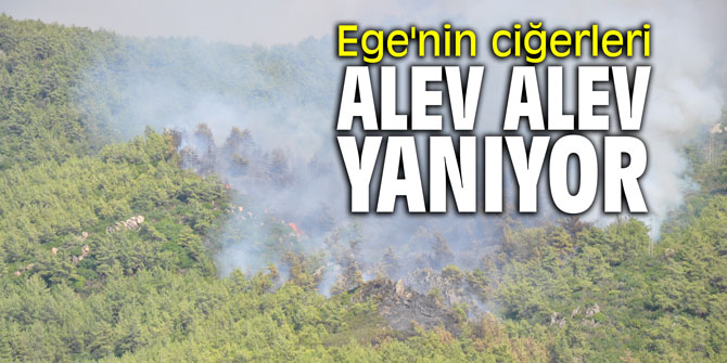 Ege'nin ciğerleri alev alev yanıyor